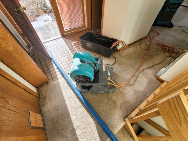 Best Ceiling water damage repair  in Valley Center, KS