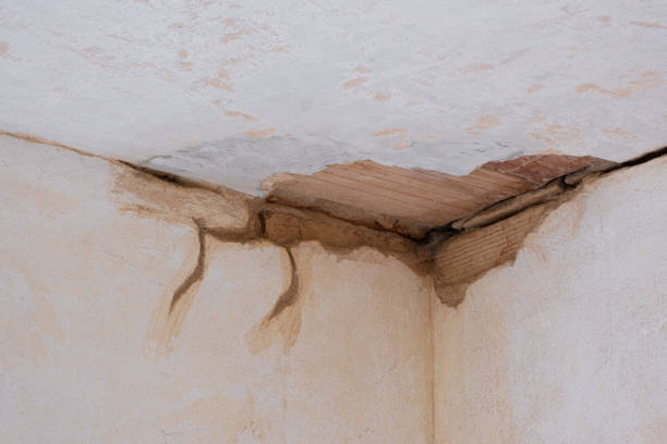 Best Water damage restoration cost  in Valley Center, KS