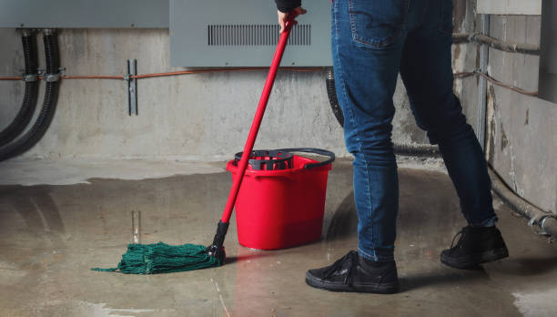 Best Professional water damage repair  in Valley Center, KS