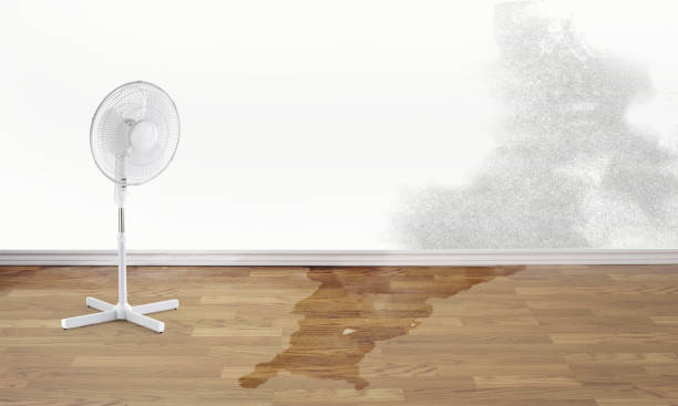 Best Water damage contractors near me  in Valley Center, KS