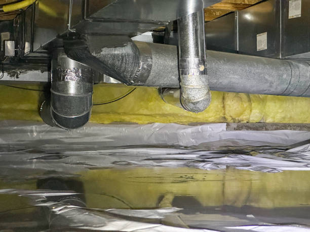 Best Mold removal after water damage  in Valley Center, KS
