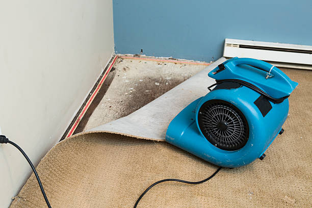 Best Fire Damage Restoration  in Valley Center, KS